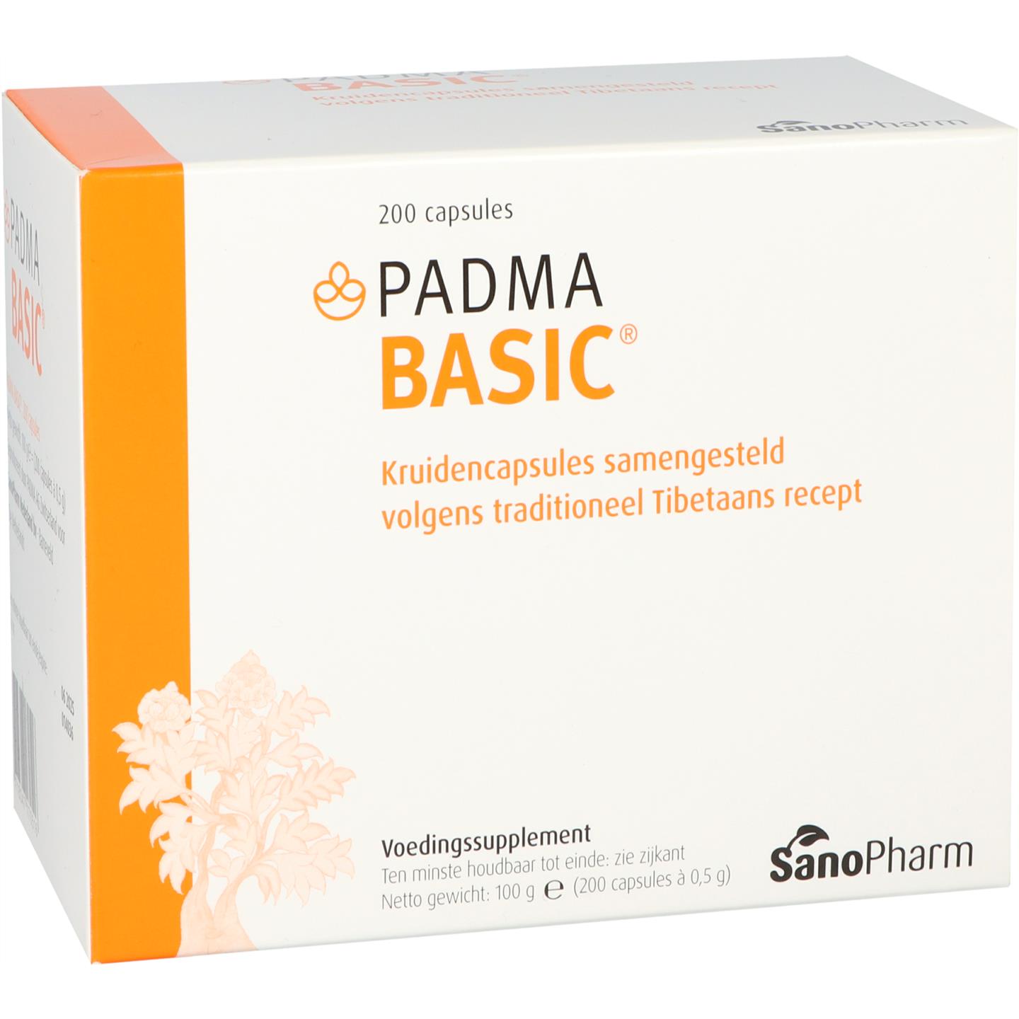 Padma Basic Top Merken Winkel